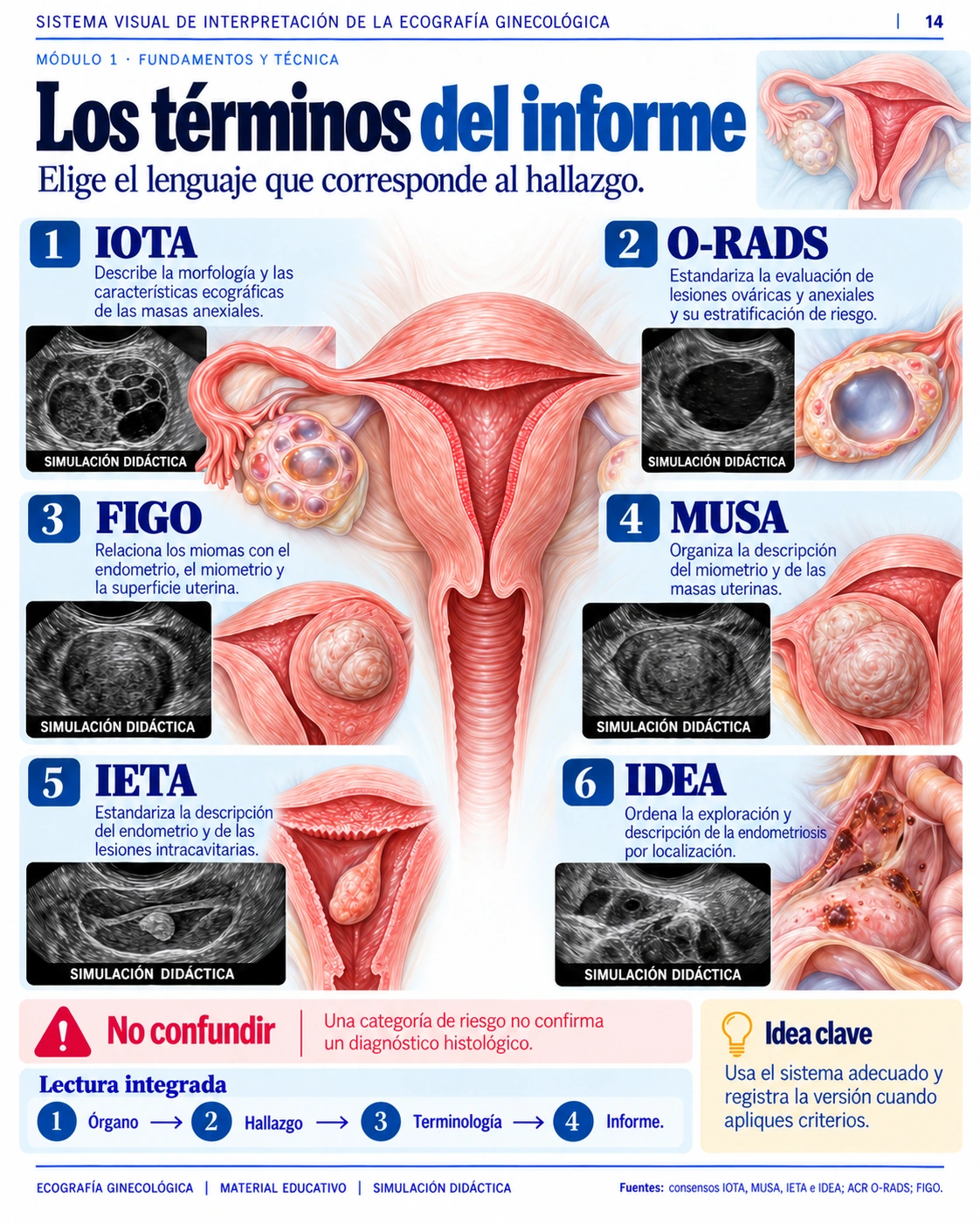 Página 14 del Sistema Visual: Los términos del informe. Muestra real del PDF.